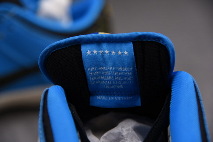 nike sb dunk low instant skateboards x cz5128-400